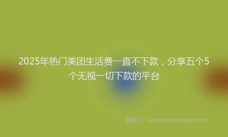 2025年热门美团生活费一直不下款，分享五个5个无视一切下款的平台
