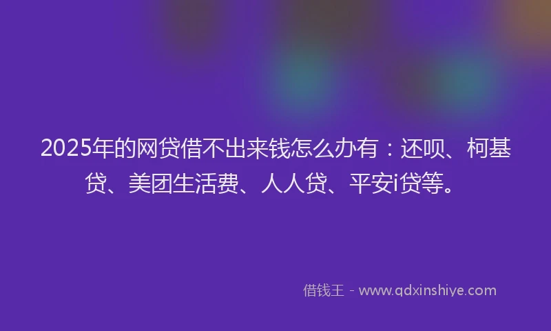 2025年的网贷借不出来钱怎么办有：还呗、柯基贷、美团生活费、人人贷、平安i贷等。