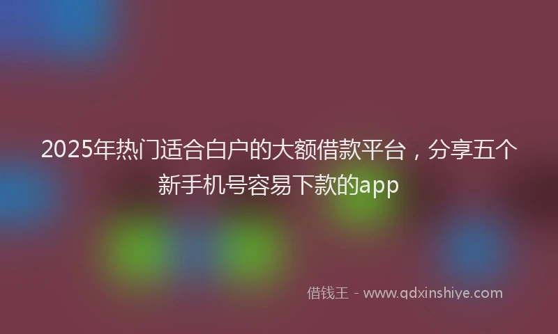2025年热门适合白户的大额借款平台，分享五个新手机号容易下款的app
