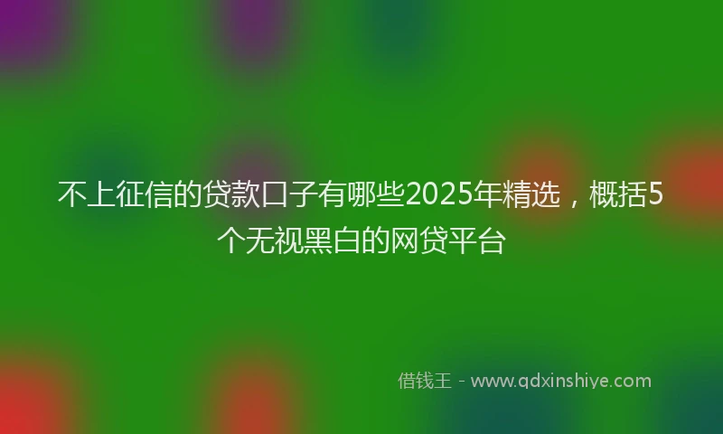 不上征信的贷款口子有哪些2025年精选，概括5个无视黑白的网贷平台