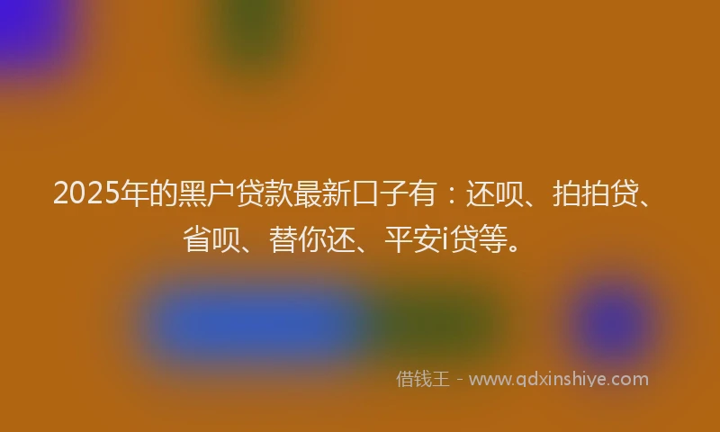 2025年的黑户贷款最新口子有：还呗、拍拍贷、省呗、替你还、平安i贷等。