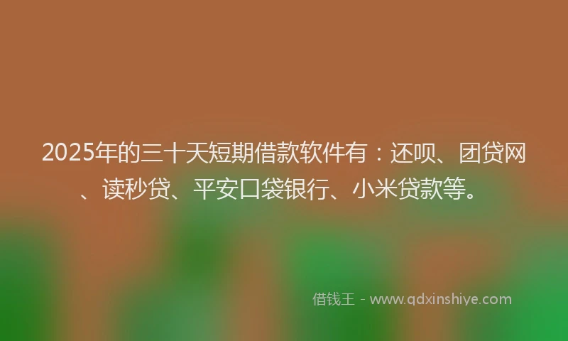 2025年的三十天短期借款软件有：还呗、团贷网、读秒贷、平安口袋银行、小米贷款等。