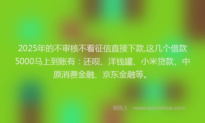 2025年的不审核不看征信直接下款,这几个借款5000马上到账有：还呗、洋钱罐、小米贷款、中原消费金融、京东金融等。