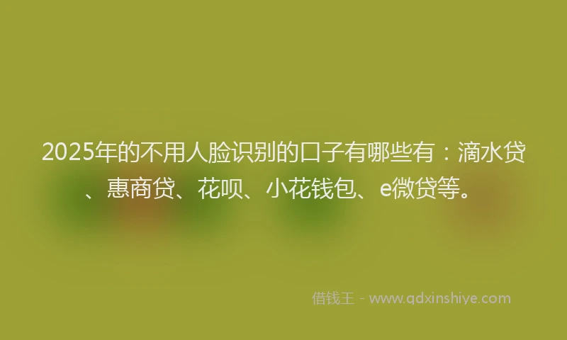 2025年的不用人脸识别的口子有哪些有：滴水贷、惠商贷、花呗、小花钱包、e微贷等。