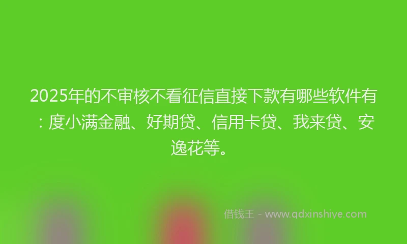 2025年的不审核不看征信直接下款有哪些软件有：度小满金融、好期贷、信用卡贷、我来贷、安逸花等。