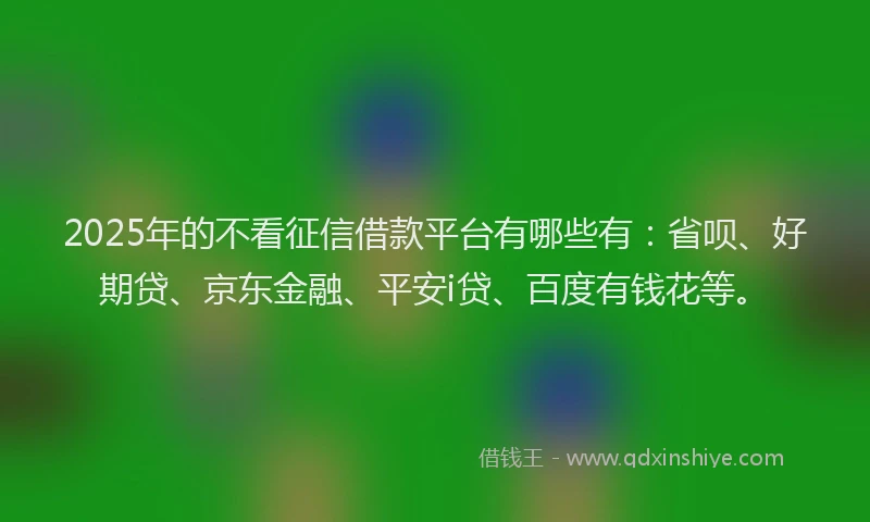 2025年的不看征信借款平台有哪些有：省呗、好期贷、京东金融、平安i贷、百度有钱花等。