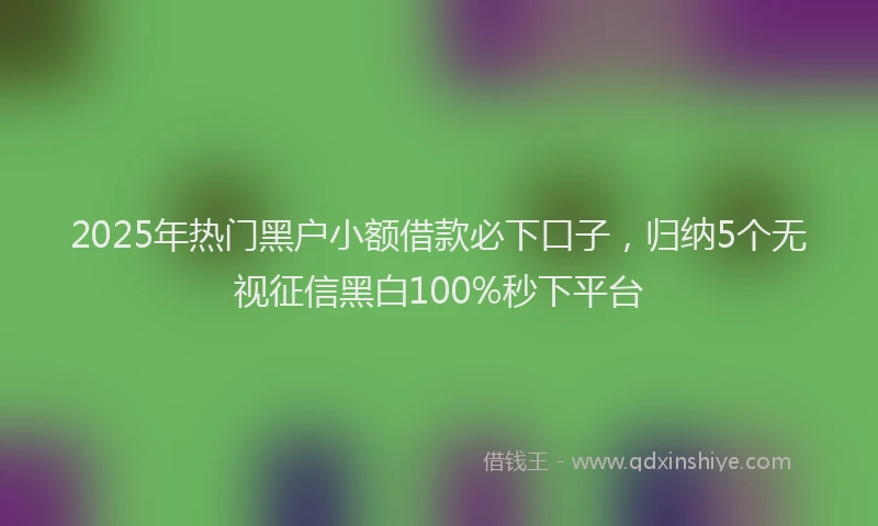 2025年热门黑户小额借款必下口子，归纳5个无视征信黑白100%秒下平台