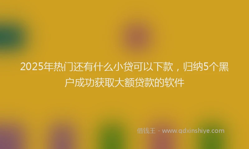 2025年热门还有什么小贷可以下款，归纳5个黑户成功获取大额贷款的软件