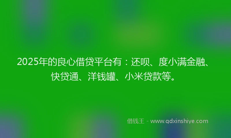 2025年的良心借贷平台有：还呗、度小满金融、快贷通、洋钱罐、小米贷款等。