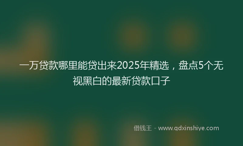 一万贷款哪里能贷出来2025年精选，盘点5个无视黑白的最新贷款口子
