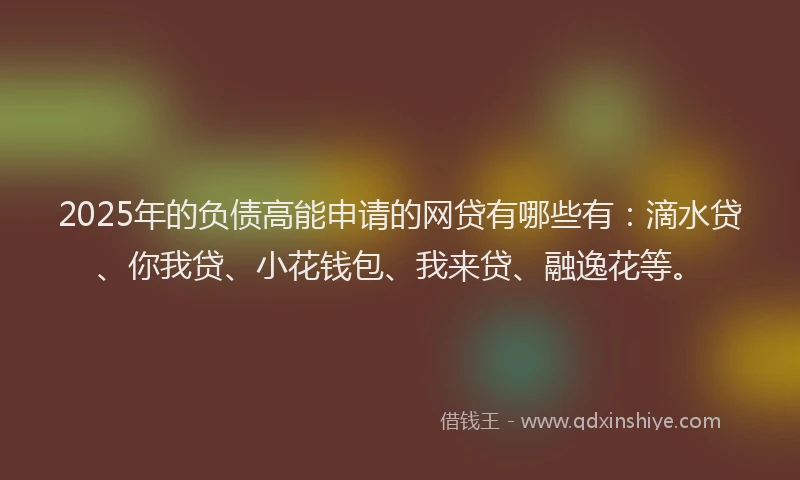 2025年的负债高能申请的网贷有哪些有：滴水贷、你我贷、小花钱包、我来贷、融逸花等。