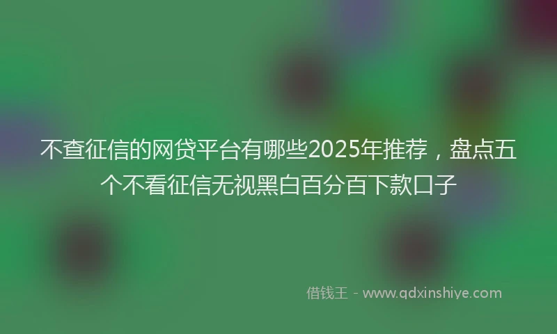 不查征信的网贷平台有哪些2025年推荐，盘点五个不看征信无视黑白百分百下款口子