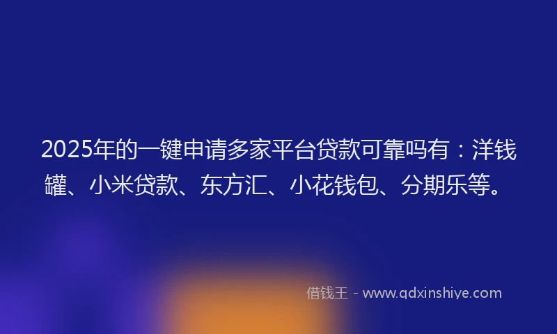 2025年的一键申请多家平台贷款可靠吗有：洋钱罐、小米贷款、东方汇、小花钱包、分期乐等。