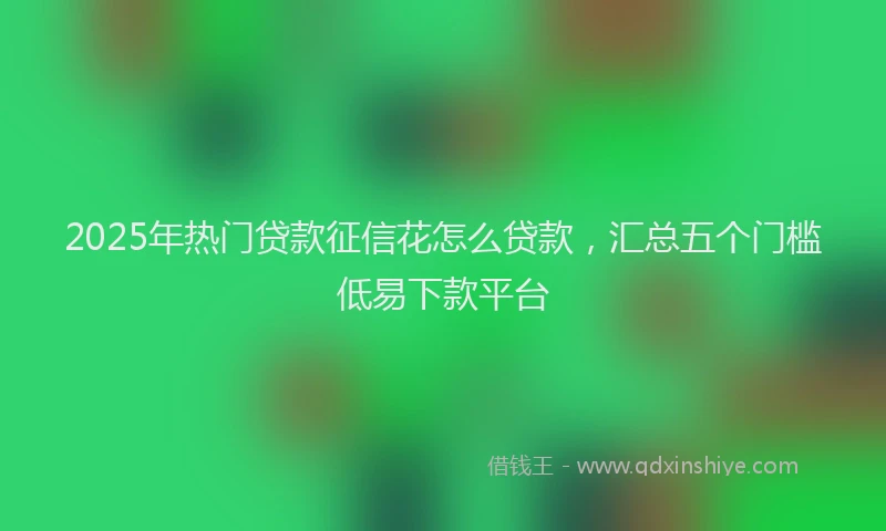 2025年热门贷款征信花怎么贷款，汇总五个门槛低易下款平台
