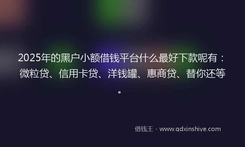 2025年的黑户小额借钱平台什么最好下款呢有：微粒贷、信用卡贷、洋钱罐、惠商贷、替你还等。