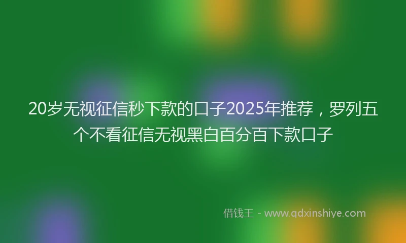 20岁无视征信秒下款的口子2025年推荐，罗列五个不看征信无视黑白百分百下款口子