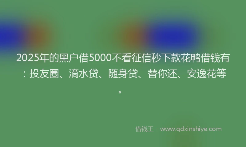 2025年的黑户借5000不看征信秒下款花鸭借钱有：投友圈、滴水贷、随身贷、替你还、安逸花等。