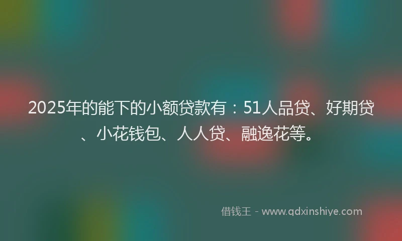 2025年的能下的小额贷款有：51人品贷、好期贷、小花钱包、人人贷、融逸花等。