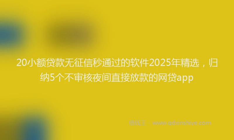 20小额贷款无征信秒通过的软件2025年精选，归纳5个不审核夜间直接放款的网贷app