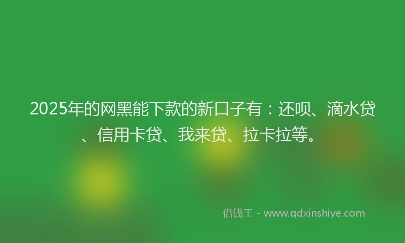2025年的网黑能下款的新口子有：还呗、滴水贷、信用卡贷、我来贷、拉卡拉等。