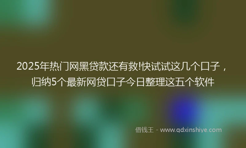 2025年热门网黑贷款还有救!快试试这几个口子，归纳5个最新网贷口子今日整理这五个软件