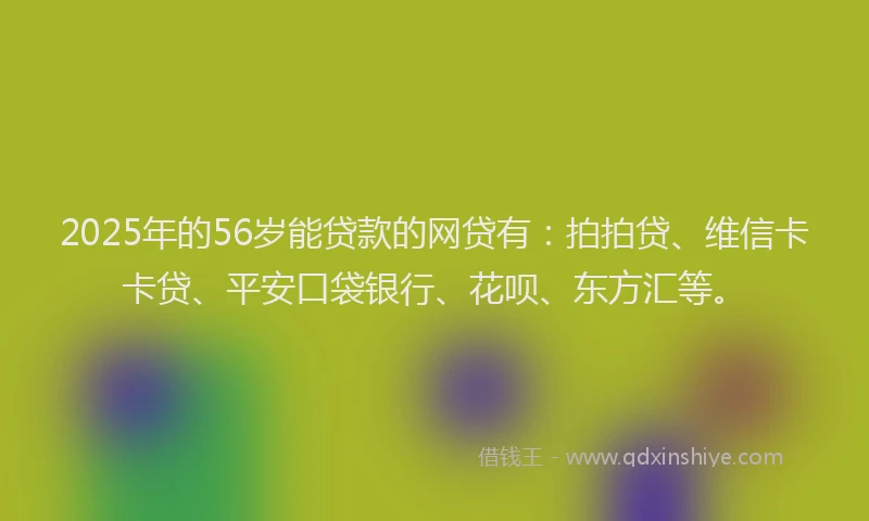 2025年的56岁能贷款的网贷有：拍拍贷、维信卡卡贷、平安口袋银行、花呗、东方汇等。