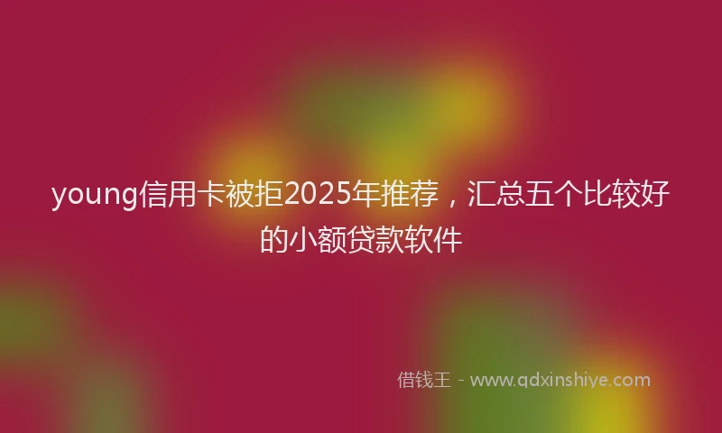 young信用卡被拒2025年推荐，汇总五个比较好的小额贷款软件