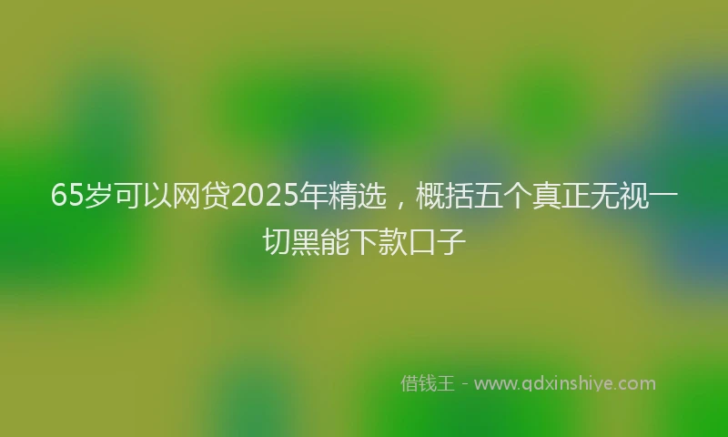 65岁可以网贷2025年精选，概括五个真正无视一切黑能下款口子