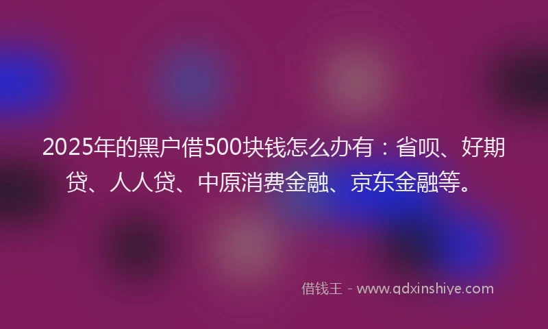 2025年的黑户借500块钱怎么办有：省呗、好期贷、人人贷、中原消费金融、京东金融等。