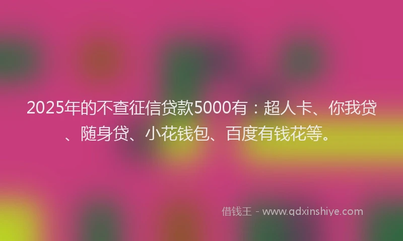 2025年的不查征信贷款5000有：超人卡、你我贷、随身贷、小花钱包、百度有钱花等。