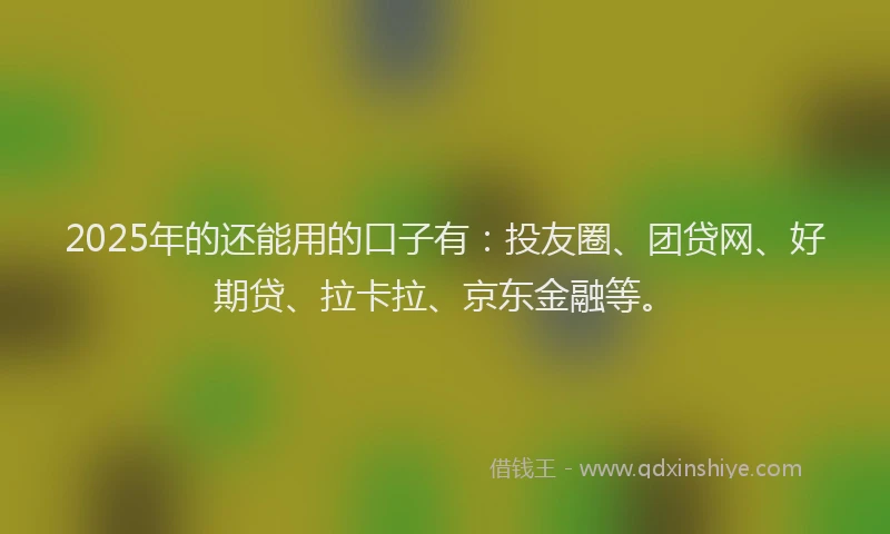 2025年的还能用的口子有：投友圈、团贷网、好期贷、拉卡拉、京东金融等。