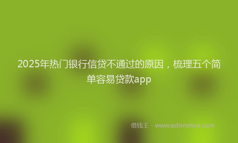 2025年热门银行信贷不通过的原因，梳理五个简单容易贷款app
