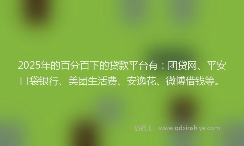 2025年的百分百下的贷款平台有：团贷网、平安口袋银行、美团生活费、安逸花、微博借钱等。