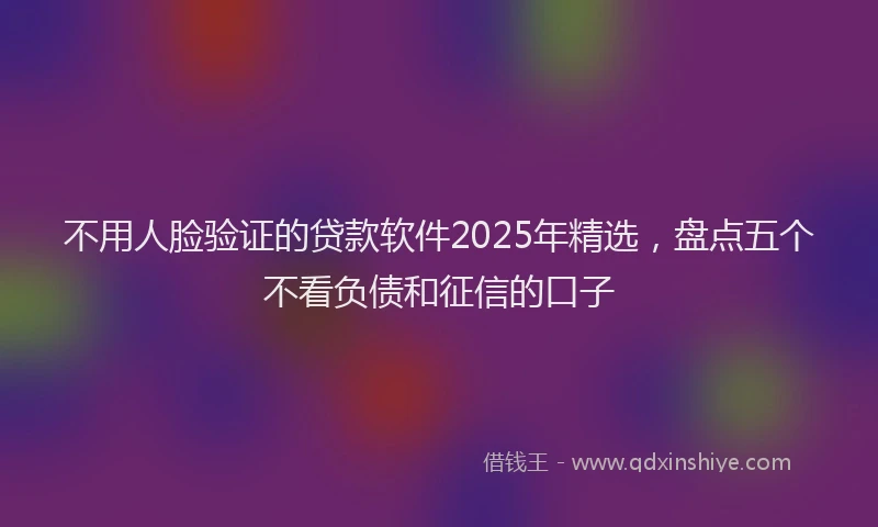 不用人脸验证的贷款软件2025年精选，盘点五个不看负债和征信的口子