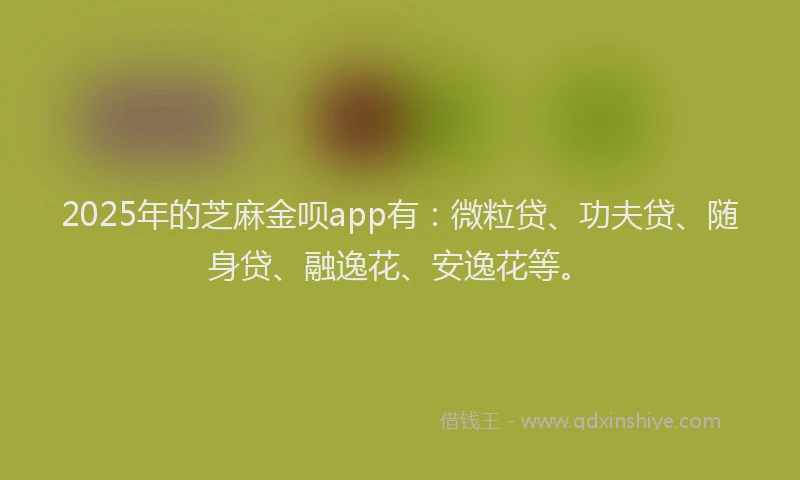 2025年的芝麻金呗app有：微粒贷、功夫贷、随身贷、融逸花、安逸花等。