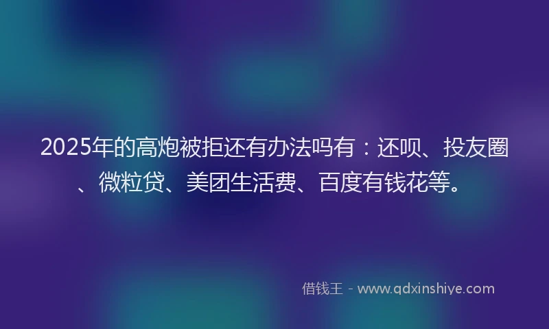 2025年的高炮被拒还有办法吗有：还呗、投友圈、微粒贷、美团生活费、百度有钱花等。