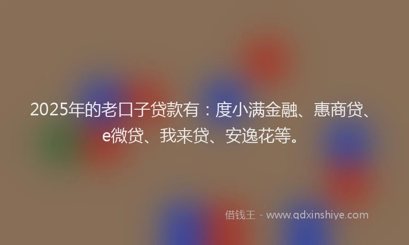 2025年的老口子贷款有：度小满金融、惠商贷、e微贷、我来贷、安逸花等。