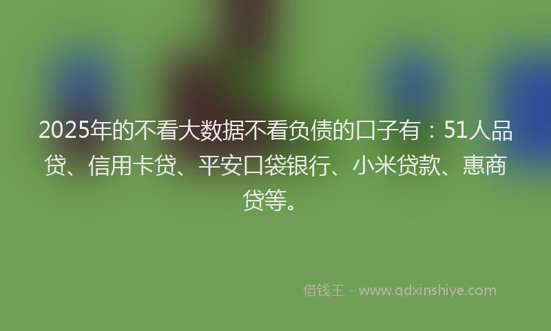 2025年的不看大数据不看负债的口子有：51人品贷、信用卡贷、平安口袋银行、小米贷款、惠商贷等。