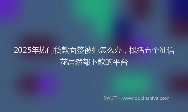 2025年热门贷款面签被拒怎么办，概括五个征信花居然都下款的平台