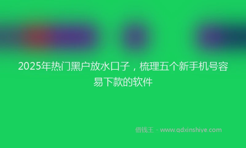 2025年热门黑户放水口子，梳理五个新手机号容易下款的软件