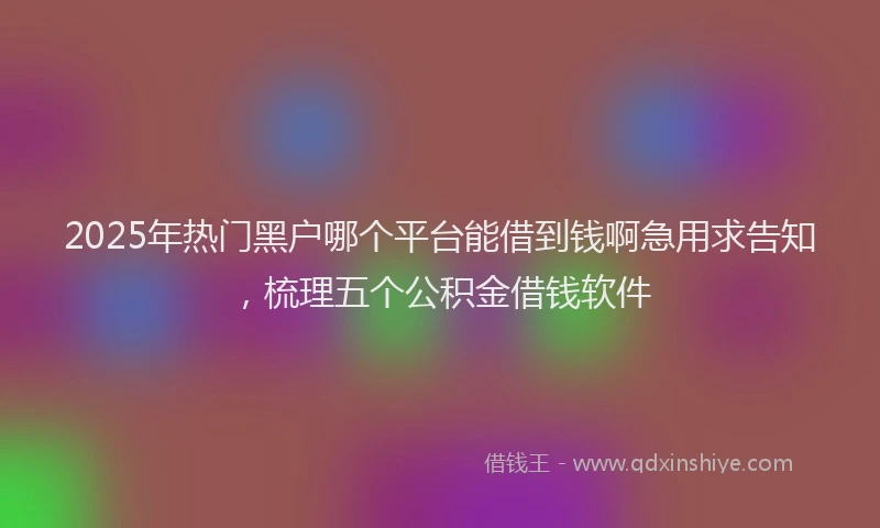 2025年热门黑户哪个平台能借到钱啊急用求告知，梳理五个公积金借钱软件