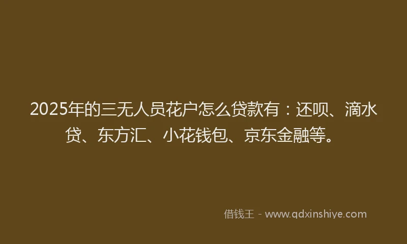 2025年的三无人员花户怎么贷款有：还呗、滴水贷、东方汇、小花钱包、京东金融等。