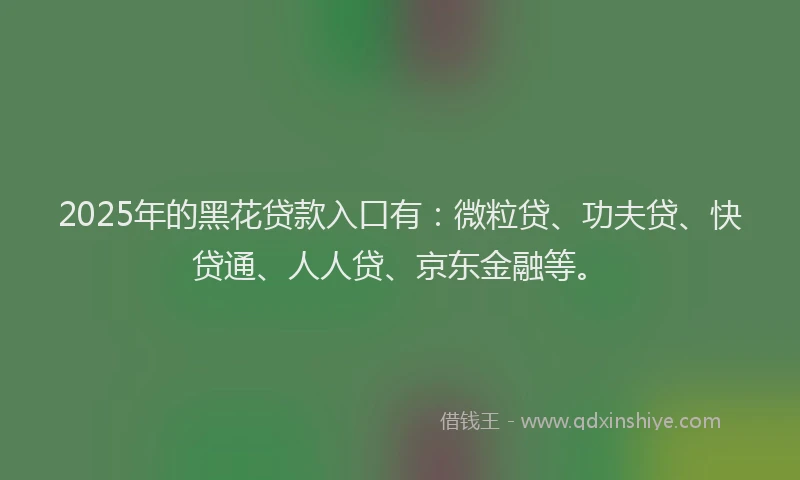 2025年的黑花贷款入口有：微粒贷、功夫贷、快贷通、人人贷、京东金融等。