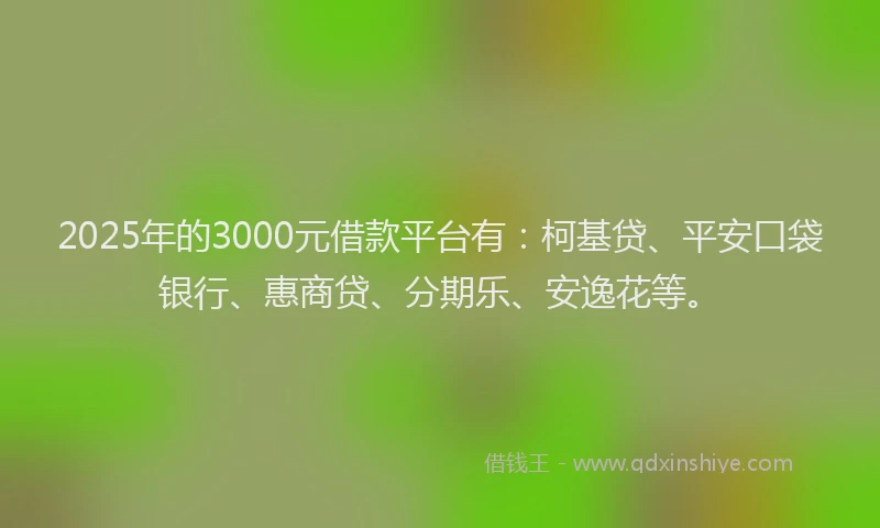 2025年的3000元借款平台有：柯基贷、平安口袋银行、惠商贷、分期乐、安逸花等。