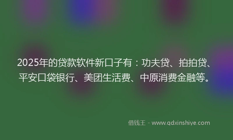 2025年的贷款软件新口子有：功夫贷、拍拍贷、平安口袋银行、美团生活费、中原消费金融等。