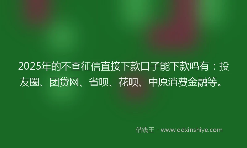 2025年的不查征信直接下款口子能下款吗有：投友圈、团贷网、省呗、花呗、中原消费金融等。