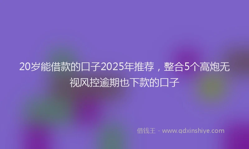 20岁能借款的口子2025年推荐，整合5个高炮无视风控逾期也下款的口子