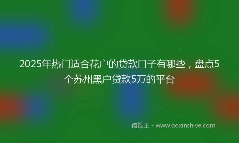 2025年热门适合花户的贷款口子有哪些，盘点5个苏州黑户贷款5万的平台
