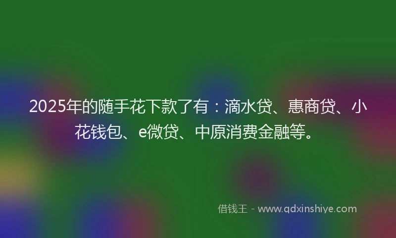 2025年的随手花下款了有：滴水贷、惠商贷、小花钱包、e微贷、中原消费金融等。