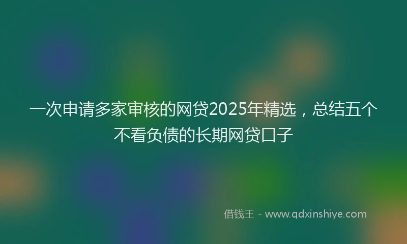 一次申请多家审核的网贷2025年精选，总结五个不看负债的长期网贷口子